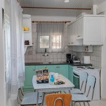 Lemon Tree House