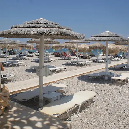 بيت للعطل Lemon Tree House