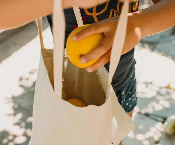 Lemon Tree House Nyaraló