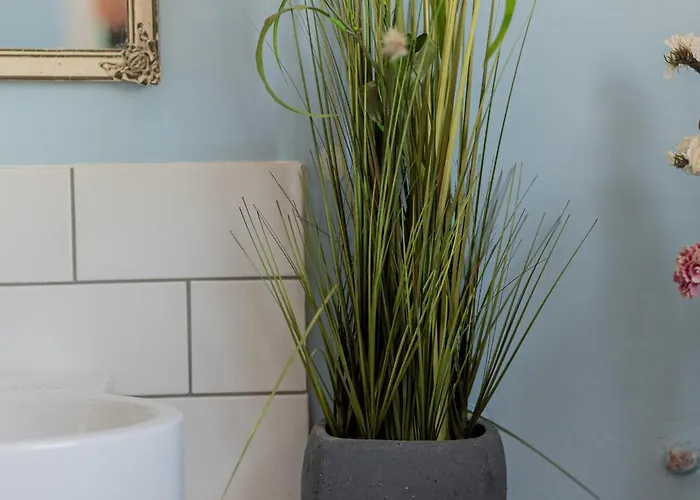 Lemon Tree House Vraháti