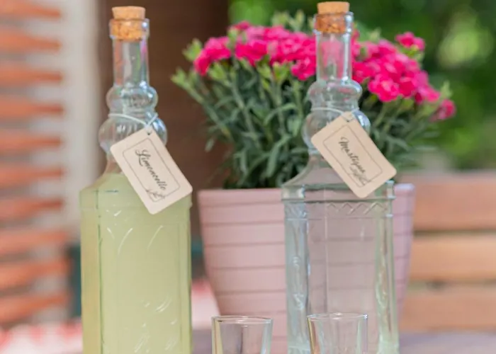 Lemon Tree House Vraháti